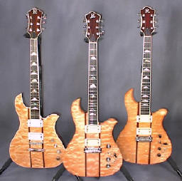 BC Rich Eagle Model Guitar - BC Rich Gui : オリジナルギターの先駆者B.C.リッチイーグルを