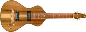 Asher Lap Steel Guitar