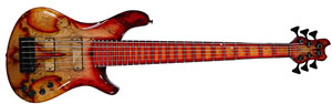 Brubaker Bass Guitar