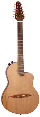 Renaissance 12 String Baritone Guitar