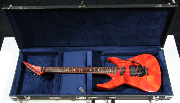Rand Guitar in the Case